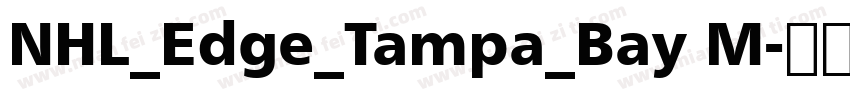 NHL_Edge_Tampa_Bay M字体转换